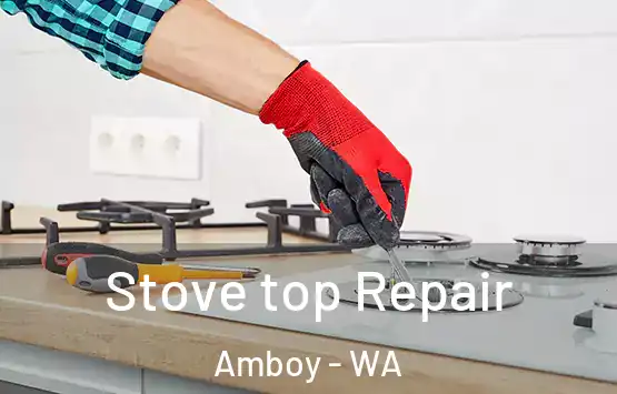  Stove top Repair Amboy - WA