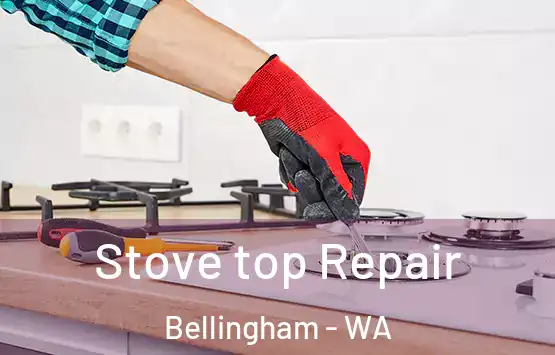 Stove top Repair Bellingham - WA