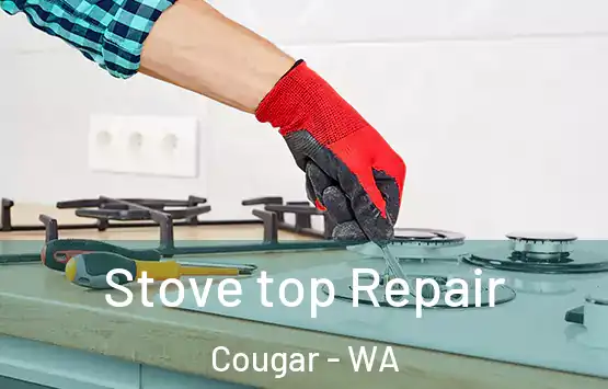  Stove top Repair Cougar - WA