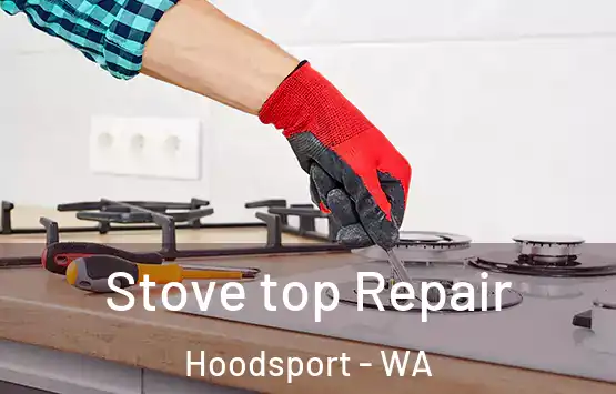  Stove top Repair Hoodsport - WA