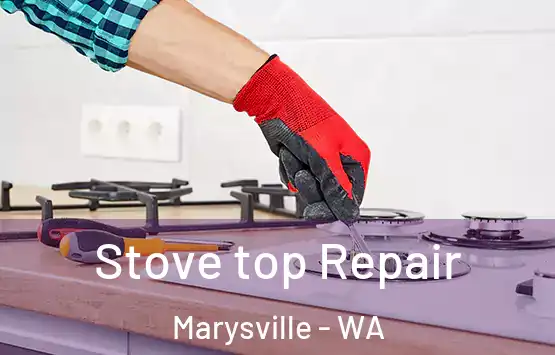  Stove top Repair Marysville - WA