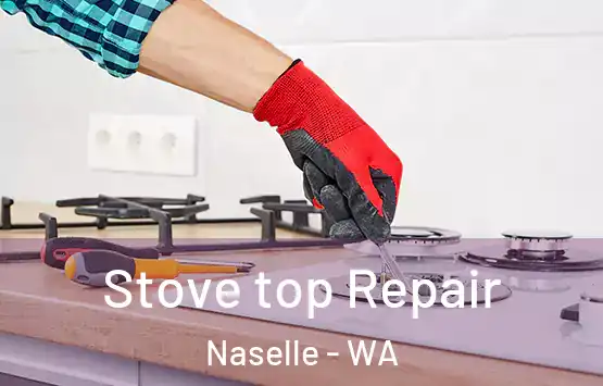  Stove top Repair Naselle - WA
