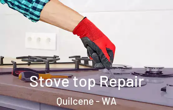  Stove top Repair Quilcene - WA