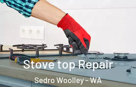  Stove top Repair Sedro Woolley - WA