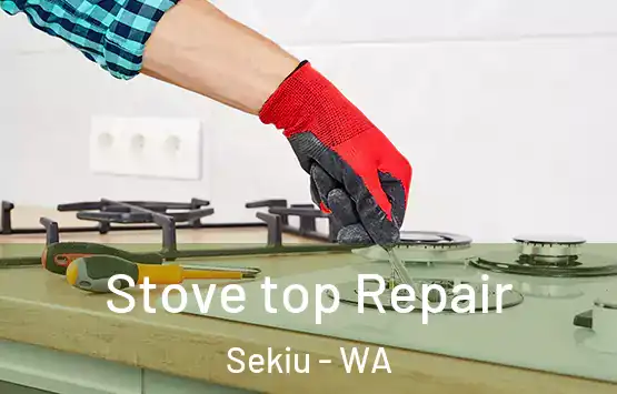  Stove top Repair Sekiu - WA