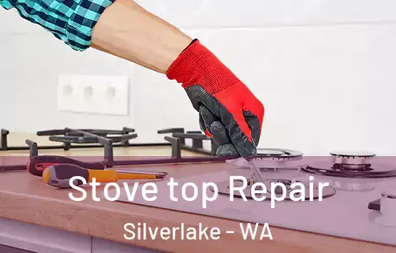  Stove top Repair Silverlake - WA