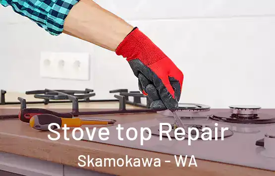  Stove top Repair Skamokawa - WA