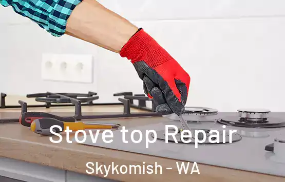  Stove top Repair Skykomish - WA