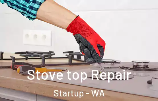  Stove top Repair Startup - WA