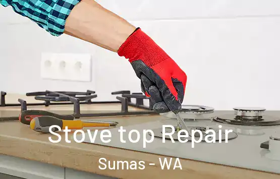  Stove top Repair Sumas - WA