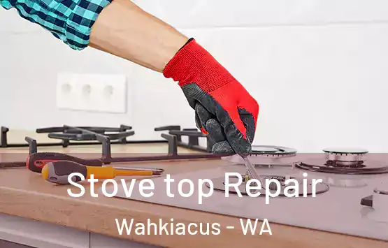  Stove top Repair Wahkiacus - WA