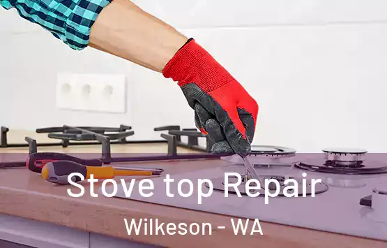  Stove top Repair Wilkeson - WA