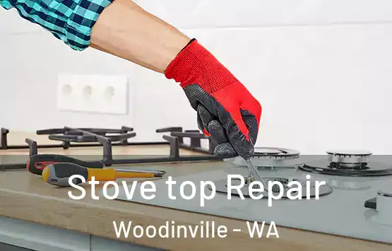  Stove top Repair Woodinville - WA