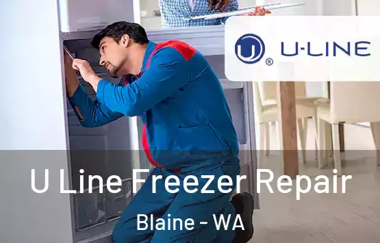  U Line Freezer Repair Blaine - WA