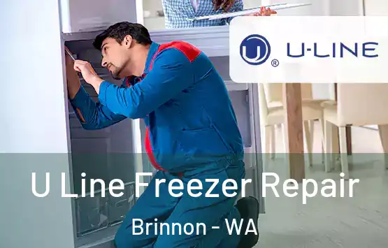  U Line Freezer Repair Brinnon - WA