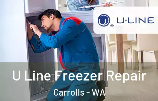  U Line Freezer Repair Carrolls - WA