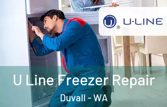  U Line Freezer Repair Duvall - WA