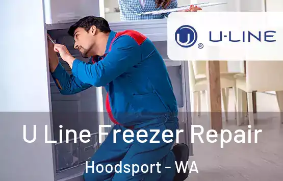  U Line Freezer Repair Hoodsport - WA