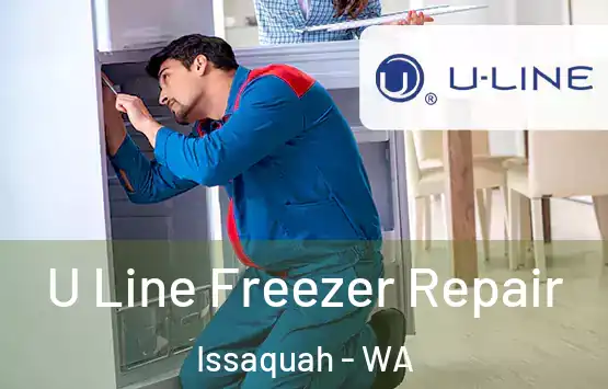  U Line Freezer Repair Issaquah - WA