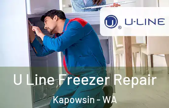  U Line Freezer Repair Kapowsin - WA