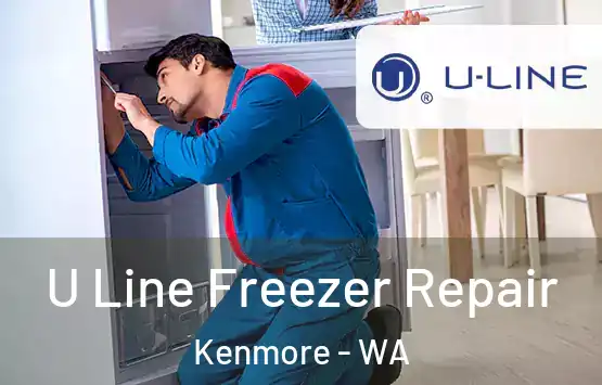  U Line Freezer Repair Kenmore - WA