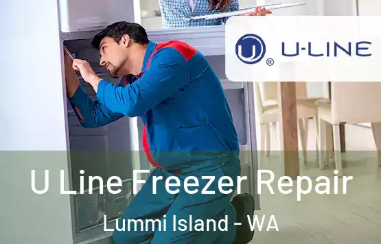  U Line Freezer Repair Lummi Island - WA