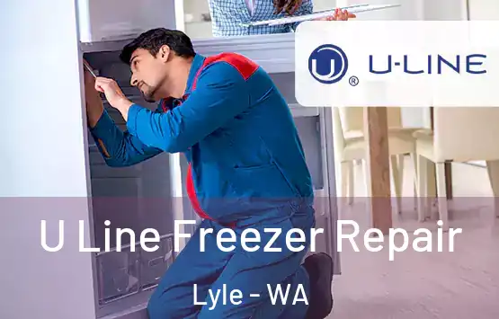  U Line Freezer Repair Lyle - WA