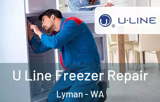  U Line Freezer Repair Lyman - WA