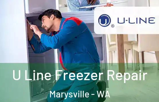  U Line Freezer Repair Marysville - WA