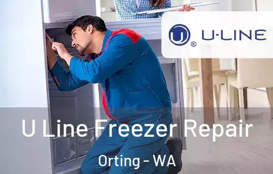  U Line Freezer Repair Orting - WA