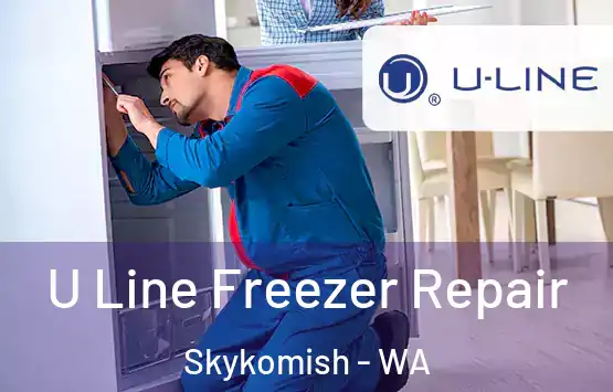  U Line Freezer Repair Skykomish - WA