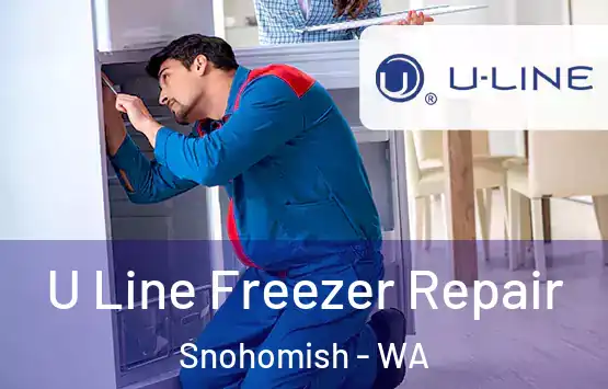  U Line Freezer Repair Snohomish - WA