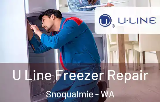  U Line Freezer Repair Snoqualmie - WA