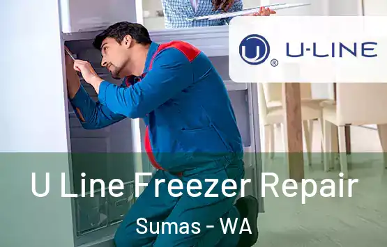  U Line Freezer Repair Sumas - WA