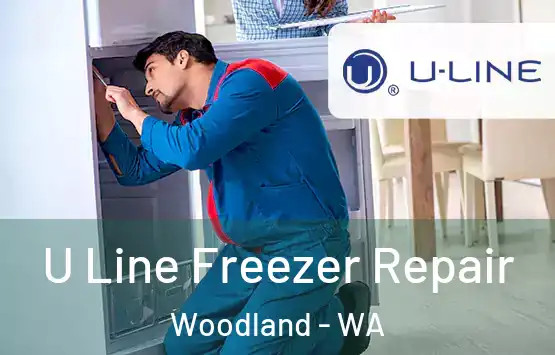  U Line Freezer Repair Woodland - WA