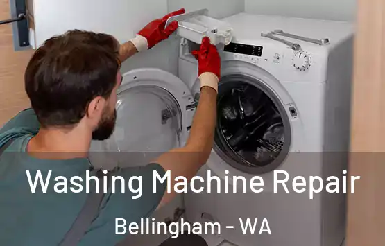  Washing Machine Repair Bellingham - WA