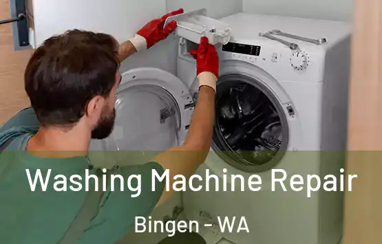  Washing Machine Repair Bingen - WA