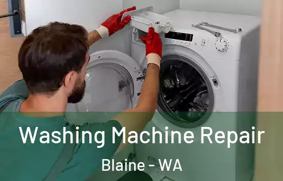  Washing Machine Repair Blaine - WA
