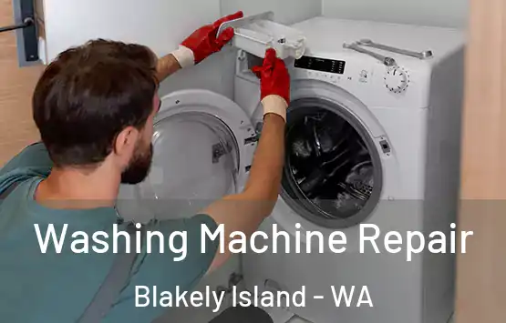  Washing Machine Repair Blakely Island - WA