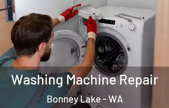  Washing Machine Repair Bonney Lake - WA