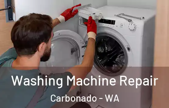 Washing Machine Repair Carbonado - WA