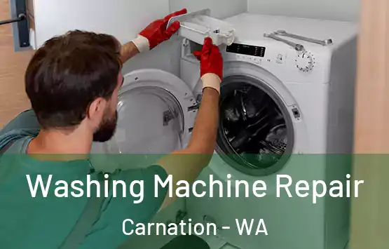  Washing Machine Repair Carnation - WA