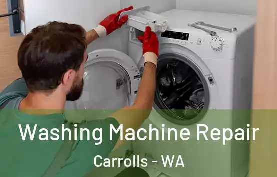  Washing Machine Repair Carrolls - WA