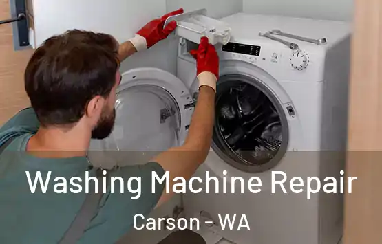  Washing Machine Repair Carson - WA