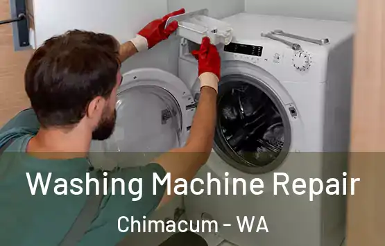  Washing Machine Repair Chimacum - WA