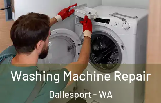  Washing Machine Repair Dallesport - WA