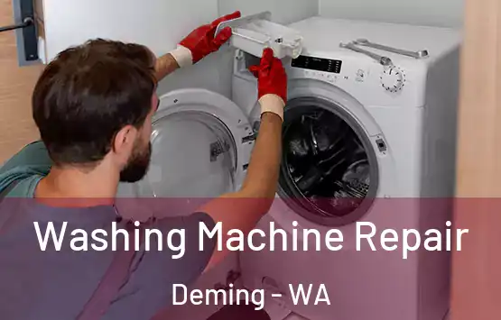  Washing Machine Repair Deming - WA