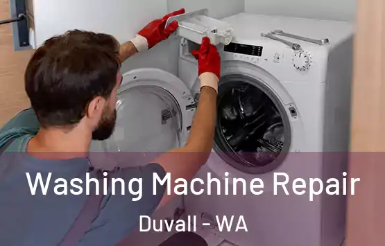  Washing Machine Repair Duvall - WA