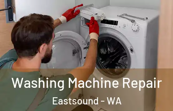  Washing Machine Repair Eastsound - WA