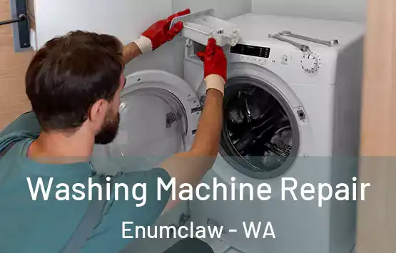  Washing Machine Repair Enumclaw - WA